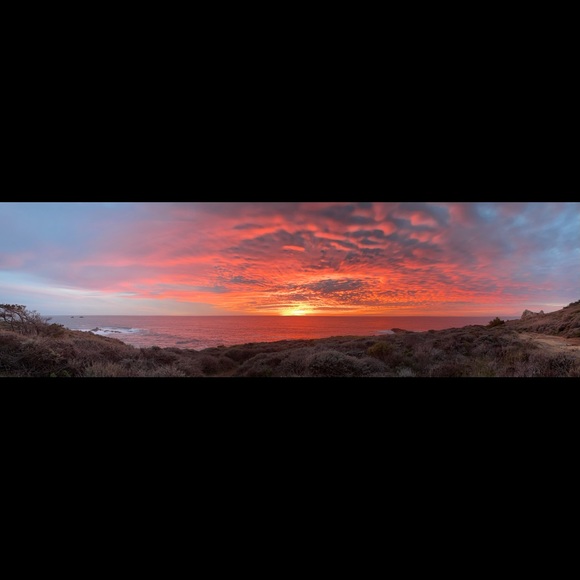 Meet your Posher, Pearl - Picture 1 of 1